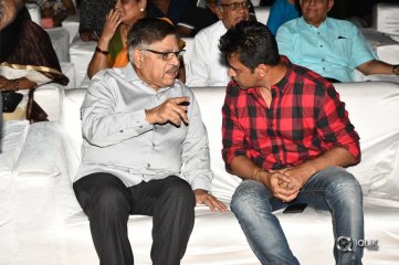 Naa Peru Surya Naa Illu India Pre Release Event Photos